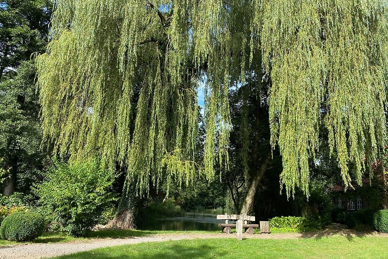 Erholungswald Eibia bei Walsrode