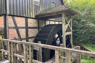 Historische Wassermühle in der Umgebung